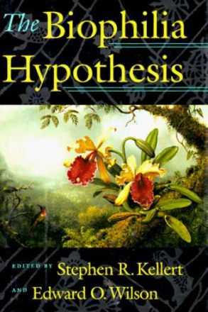 The Biophilia Hypothesis