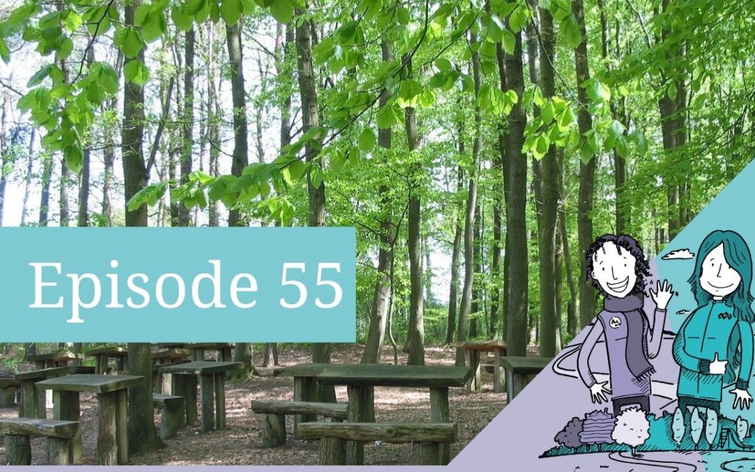 Episode 55: Sarah Lawfull