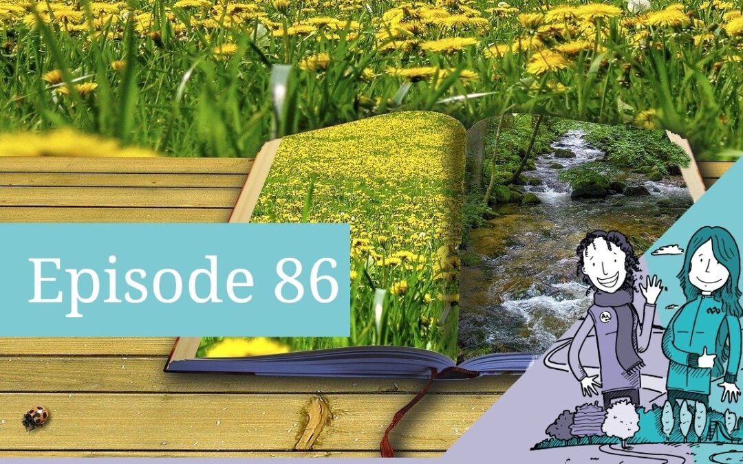 Episode 86: Frank Bolaji Irawo